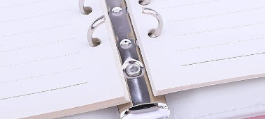 Savings Budget Binder