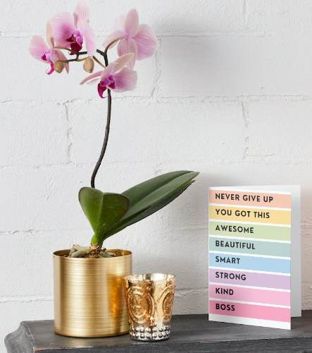 Never Give Up Greeting Card