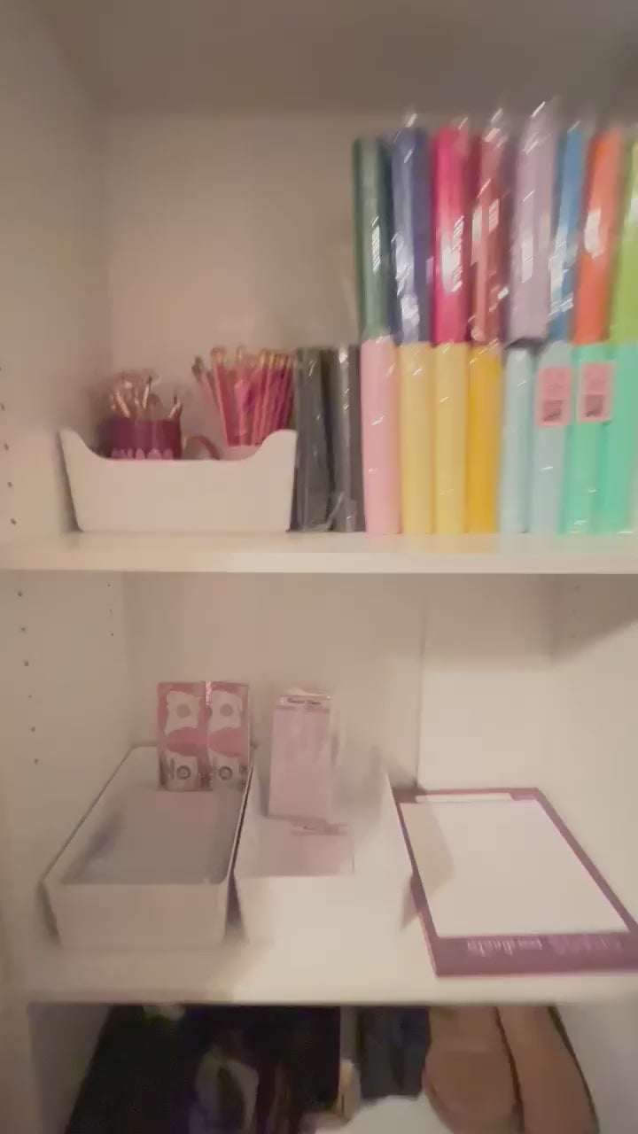 Savings Budget Binder