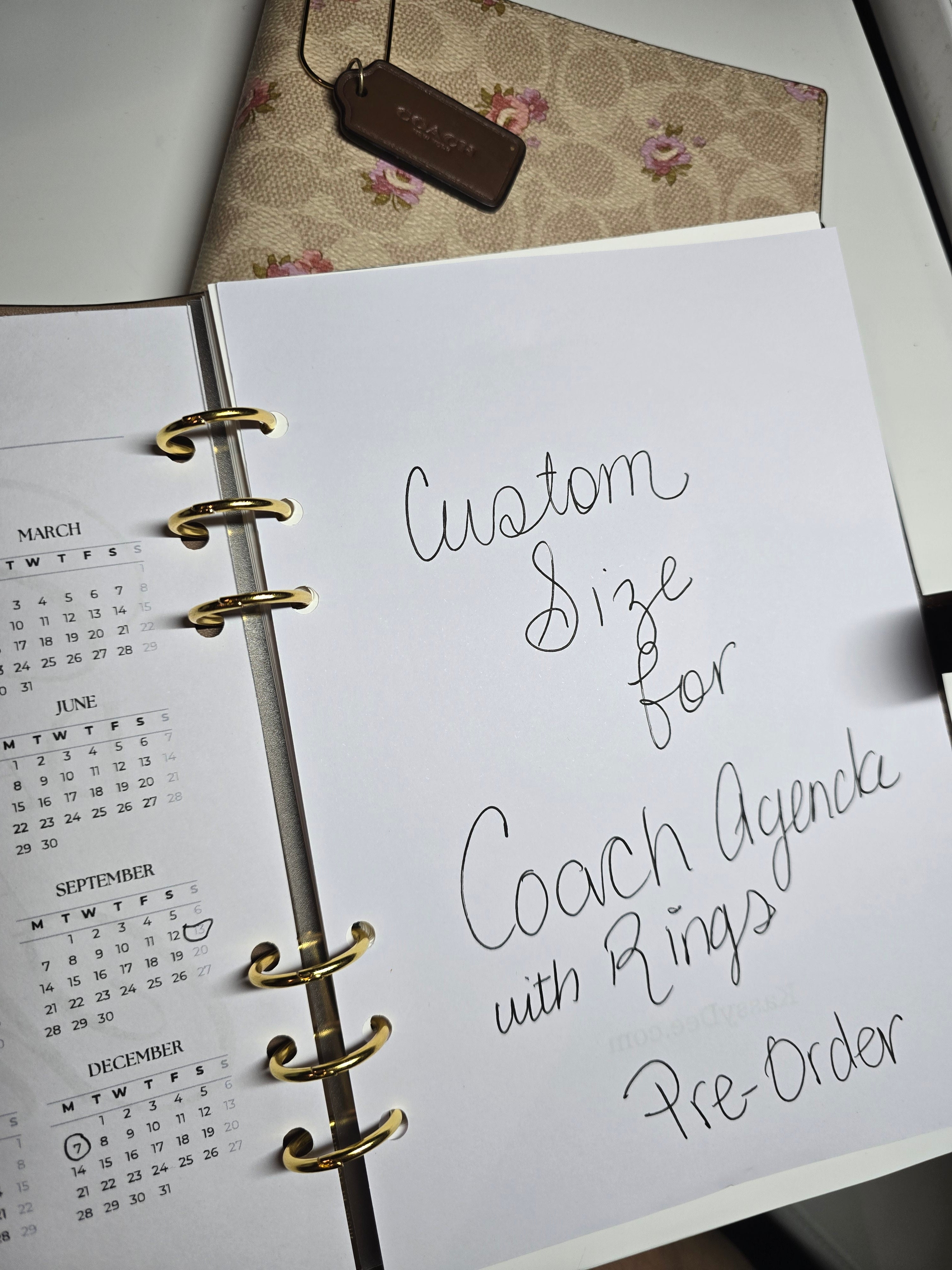 Inserts for Coach Agenda