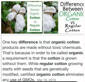 "Mermaid Luver" Adult Face Mask Organic Cotton