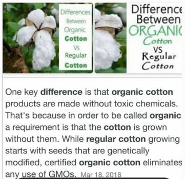 PIZZA MASK Print Adult Face Mask Double Layer