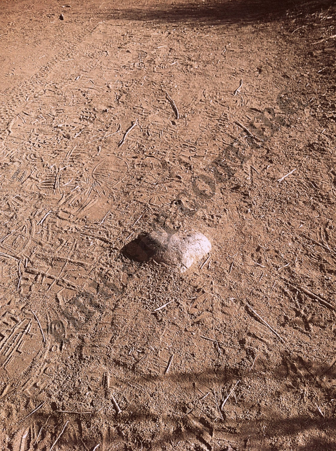 5 heart photographs-digital