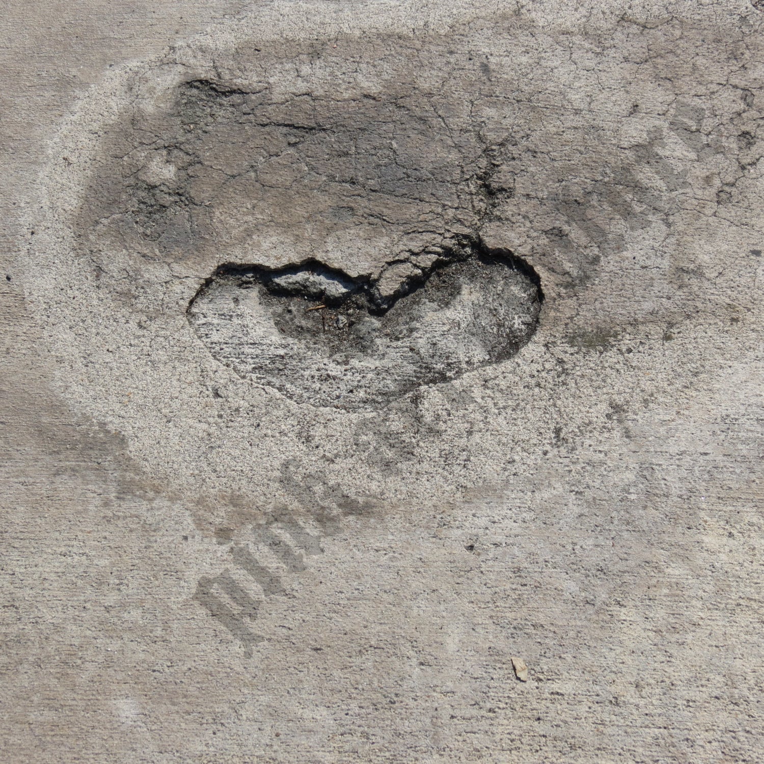 5 heart photographs-digital