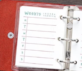 12 Dashboards for A9 Agenda -Coach Themed 1.5 x 2 in