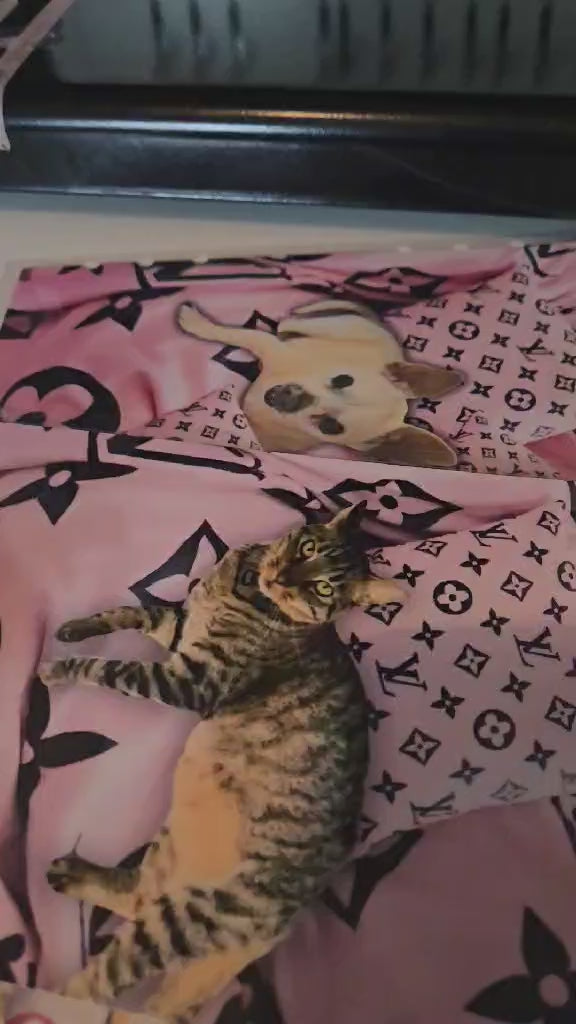 12 Chanel, Coach, Custom Pet, & LV Dashboards for LV or COACH Agenda Cover-A5