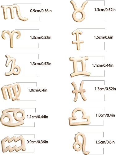 Zodiac Sign Earrings