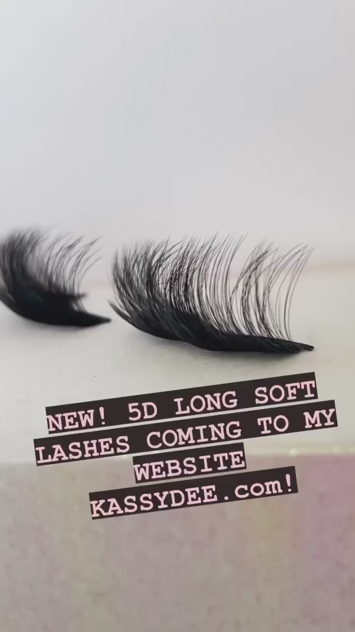 "The Lollipop" Wispy 5D Cruelty Free Lashes