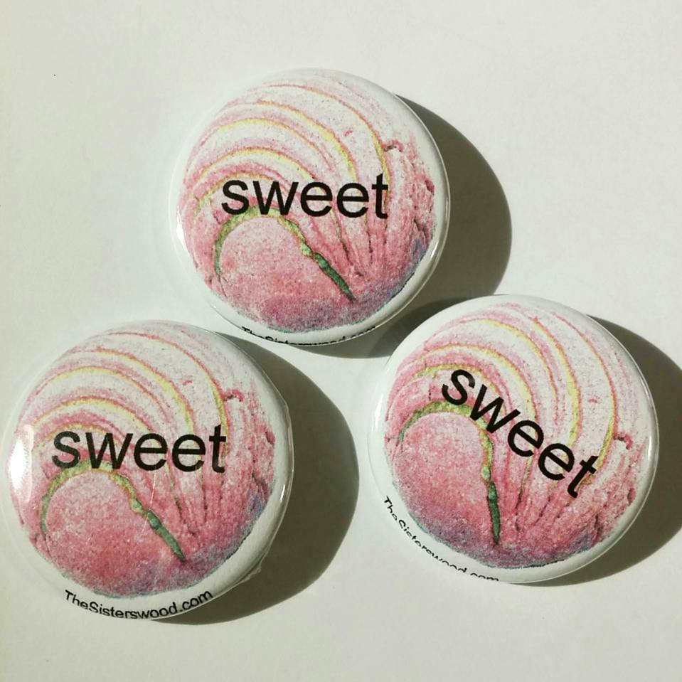 CONCHA SWEET Pan Dulce Conchita Sweet Bread 1.5"