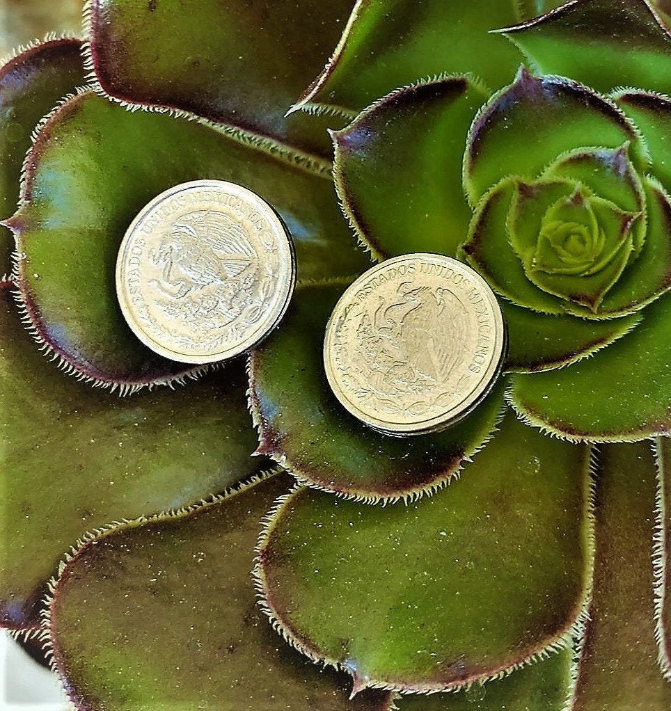Mexican Coins Pesos Centavos Earring set