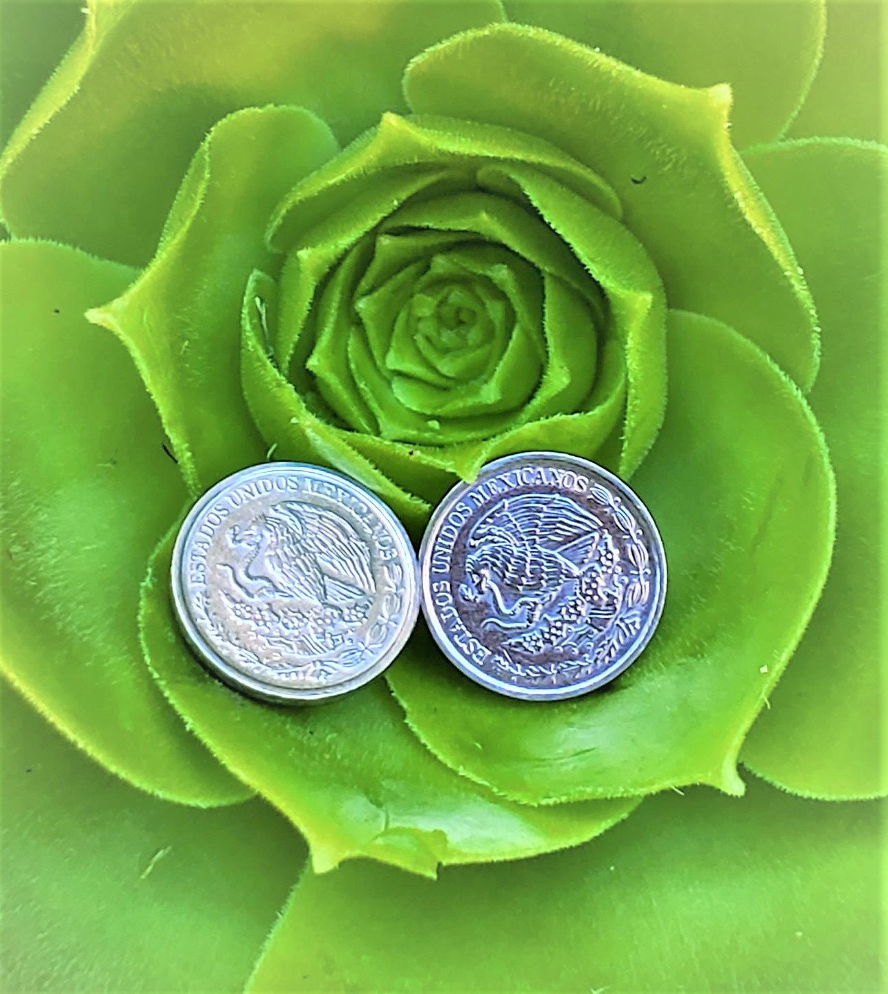 Mexican Coins Pesos Centavos Earring set